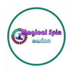 magical spin logo bcsd